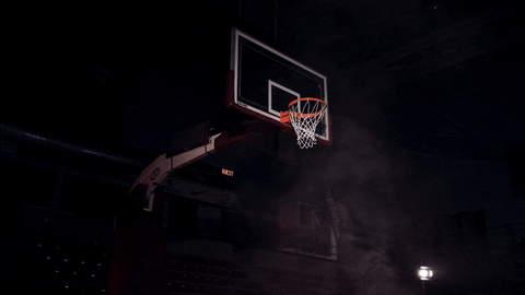 Alley Oop Pelicans Kings Basketball GIF
