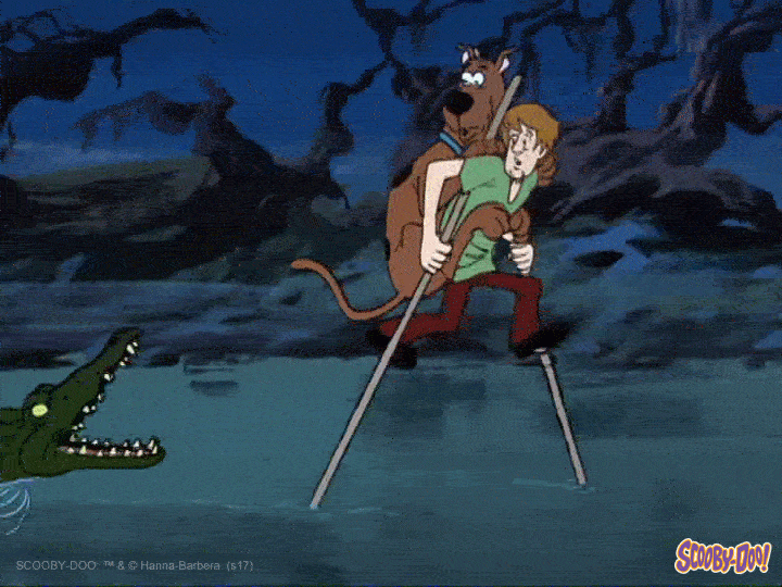 Alligator 720 X 540 Gif GIF