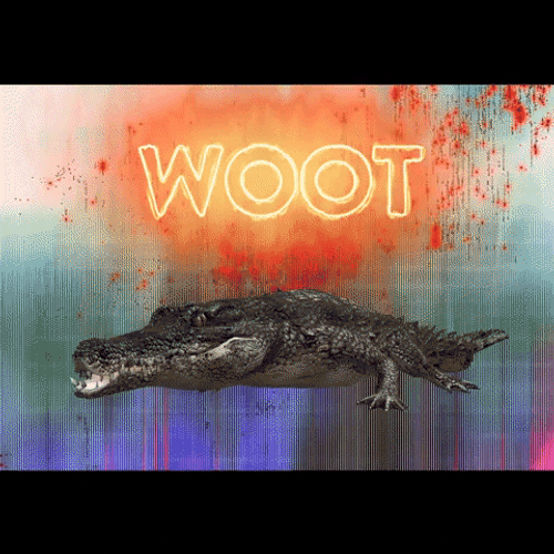 Alligator Spinning Around Woot GIF