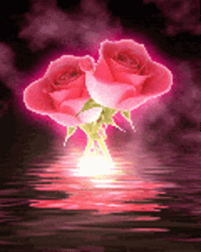 Alluring Pink Roses Glowing GIF