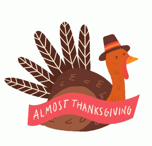 Almost Thanksgiving Turkey GIF