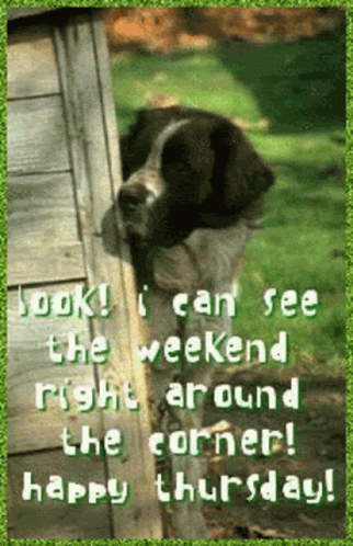 Almost The Weekend Right Around The Corner GIF