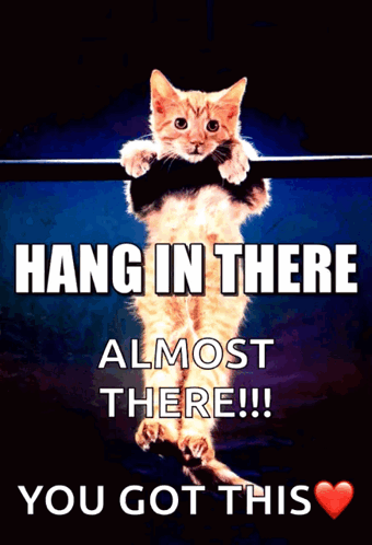 Almost There Hanging Cute Little Cat GIF