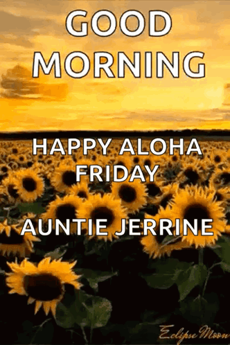 Aloha Friday Sunflower Field GIF