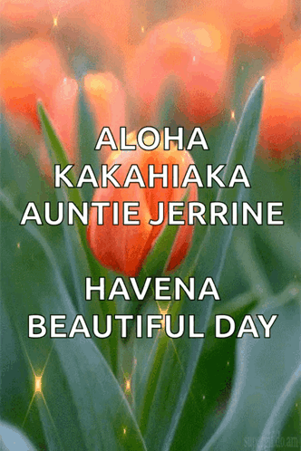 Aloha Kakahiaka Auntie Jerrine Beautiful Day