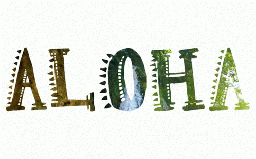 Aloha Word with Tree Background