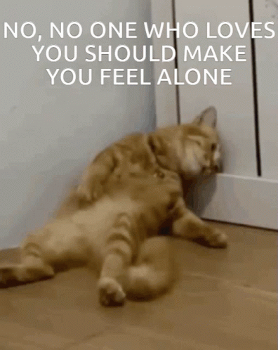 Alone Cat Glass Beach Lyrics GIF