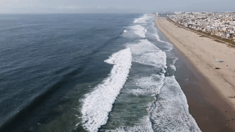 Along The Shore Blue Wave GIF