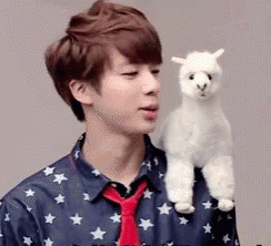 Alpaca Stuffed Toy GIF