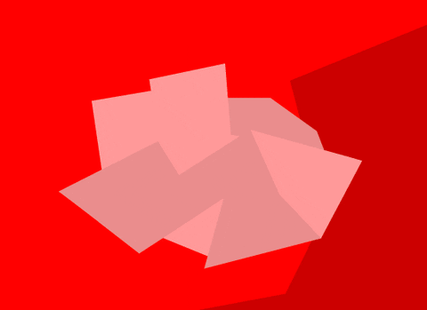 Alpaca With Man Riding GIF