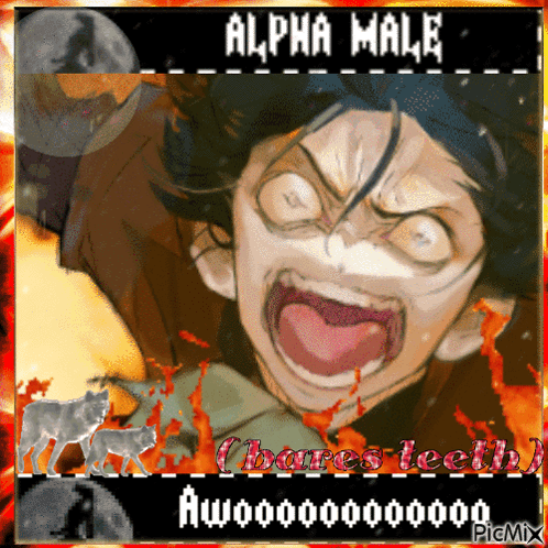 Alpha Male Text GIF