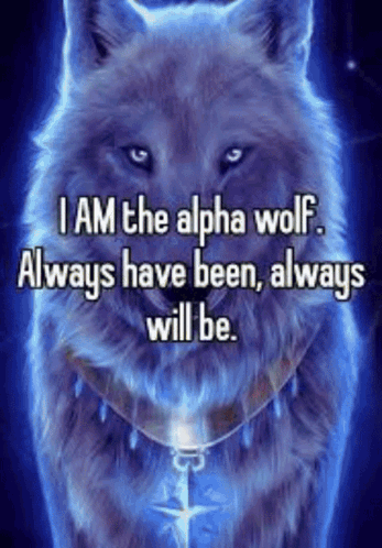 Alpha Wolf Quote GIF
