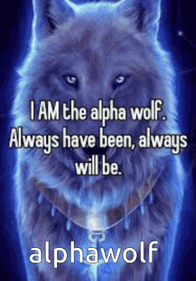Alpha Wolf Quote I Am The Alpha GIF