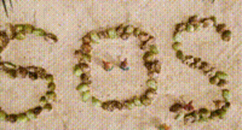 Alvin And The Chipmunks Cast Away On Island GIF