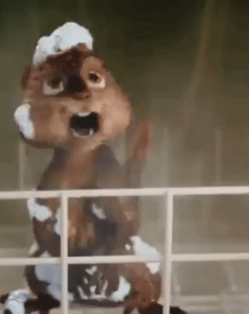 Alvin And The Chipmunks Frightened Reaction GIF 