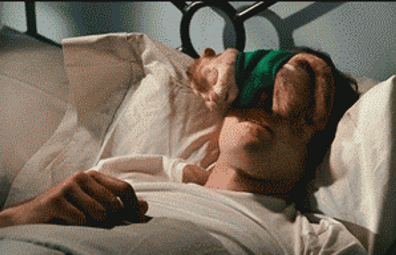 Alvin And The Chipmunks Theodore And David Sleeping GIF