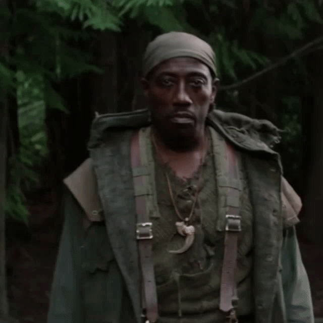 Always Bet On Black Wesley Sniper Moves Forward GIF