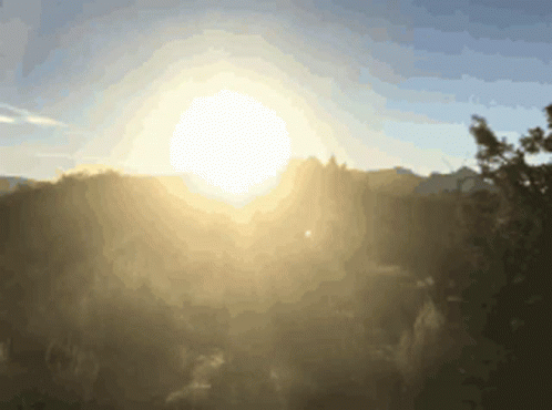 Always Enjoy Sunny Day GIF