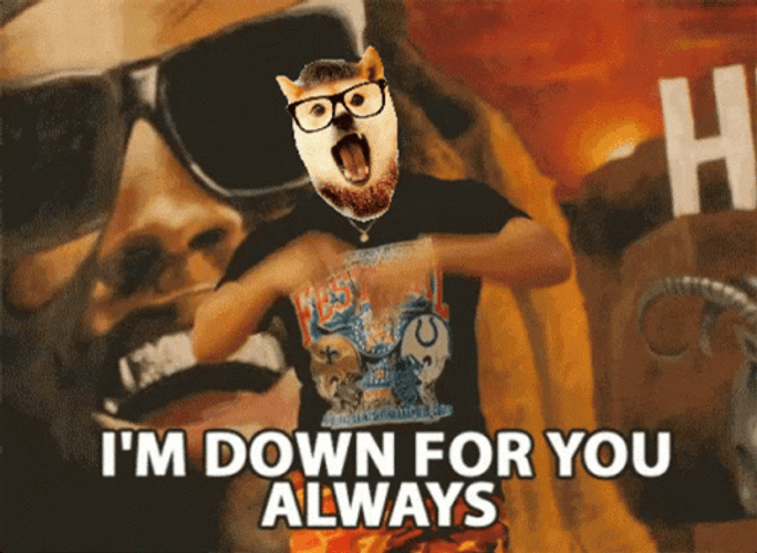 Always Funny Dog Face Im Down For You Always GIF