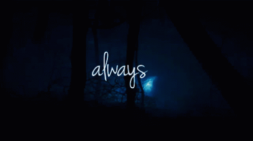 Always In White On Dark Blue GIF
