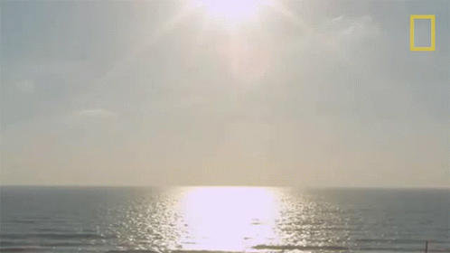 Always Sunny On The Oceans GIF