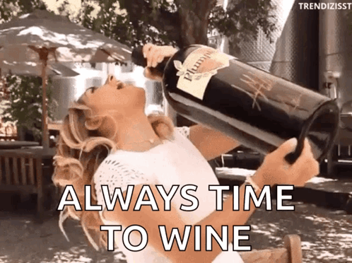 Always Time To Wine Drunk Meme GIF
