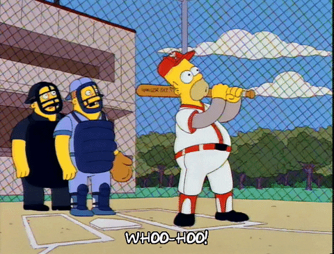 Amazing Baseball Game Homer Woohoo GIF