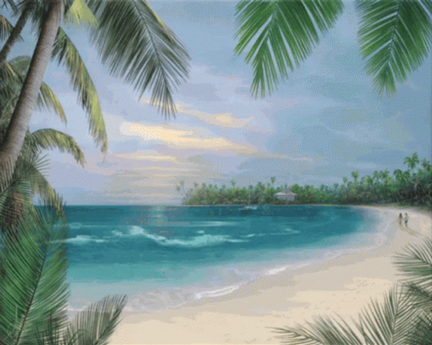Amazing Beach In Hawaii GIF