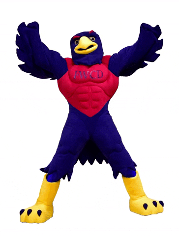 Amazing Falcon Clips GIF