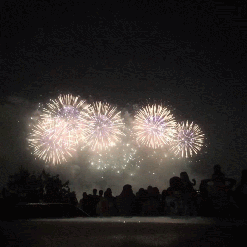 Amazing Fireworks Meme GIF