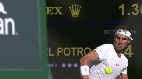 Amazing Left Handed Male Tennis Player GIF