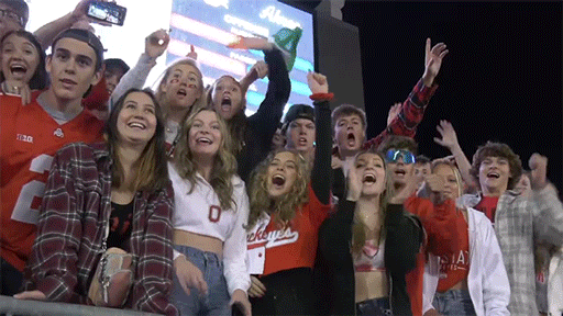 Amazing Ohio Meme Fans GIF