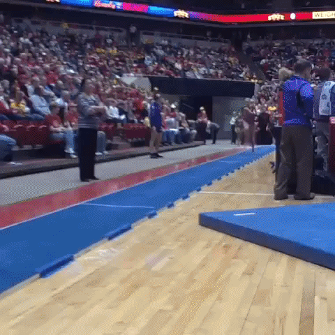 Amazing Pommel Horse Gymnastics GIF