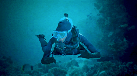 Amazing Scuba Steve GIF