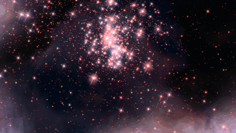 Amazing Stars Constellation GIF