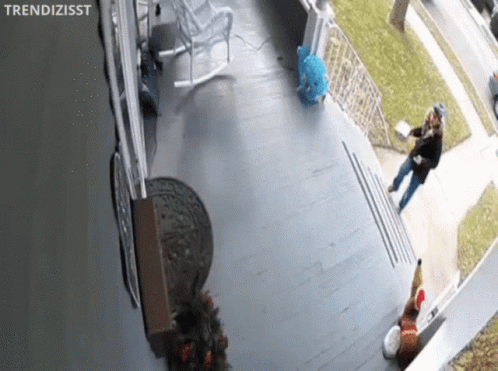 Unruly Amazon Delivery Guy Caught On Camera GIF