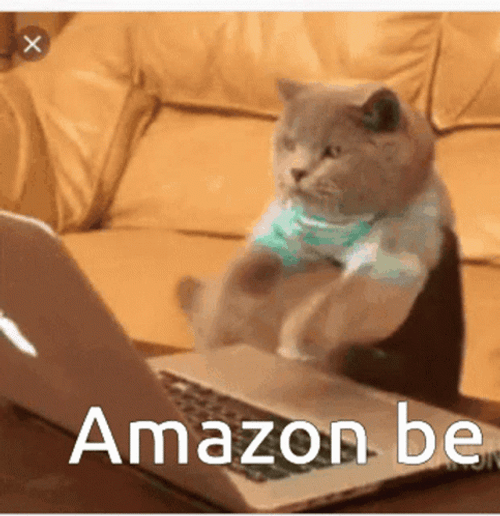 Amazon Be Like Frantic Cat Typing GIF