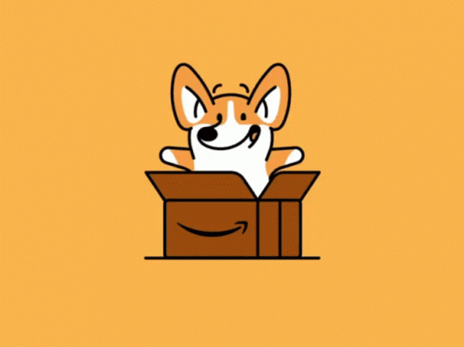 Amazon Box Corgi Surprise GIF