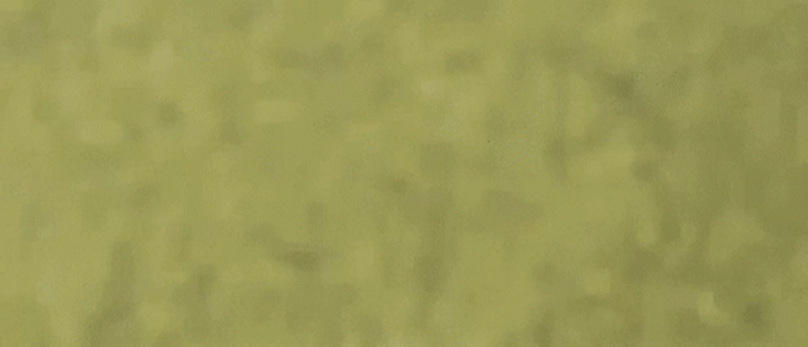 Amazon Prime Day Delivery Truck Animation GIF