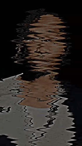 Ambatukam Wearing Different Outfits GIF