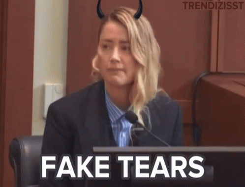 Amber Heard Fake Tears GIF
