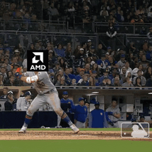 Amd Intel GIF