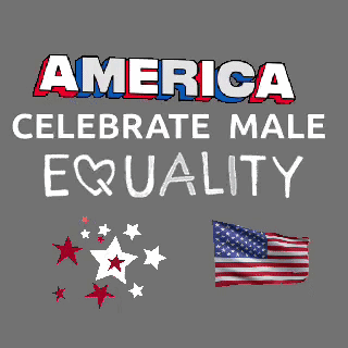 America Celebrate Male Equality With American Flag Poster