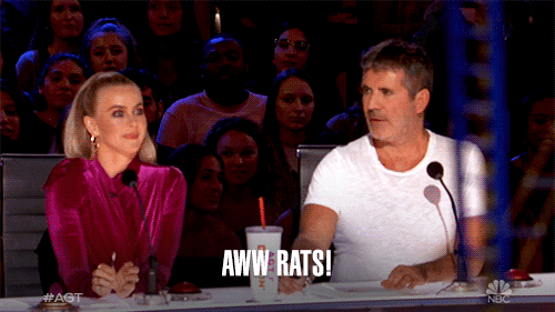 America's Got Talent Aw Rat Showering GIF