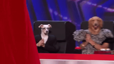 America's Got Talent Dog Judge GIF