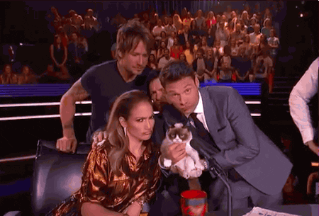 America's Got Talent Judges Grumpy Cat GIF