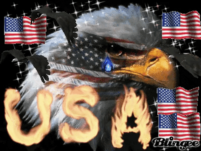 American Eagle Crying Merica Murica GIF