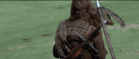 American Eagle Takes Freedom GIF