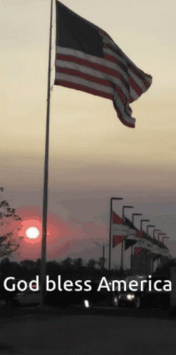 American Flag Cross Gun All Gave Some