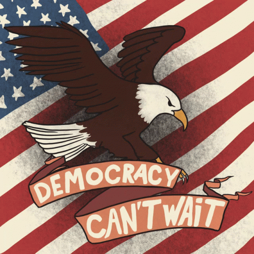 American Flag Eagle Democracy Can T Wait Banner GIF